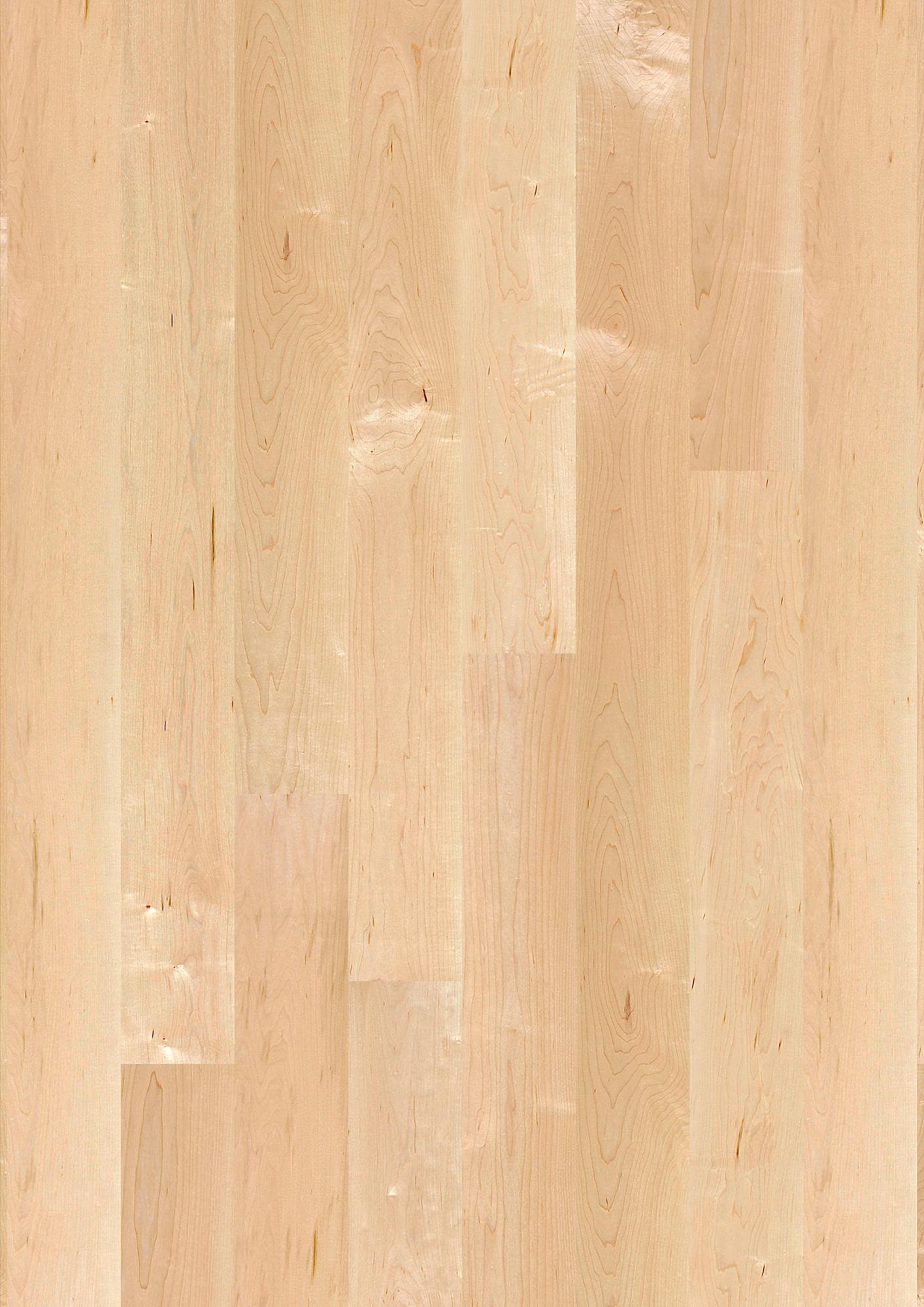 Maple Canadian Andante, 5-1/2" plank
